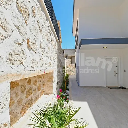 Lion Villa