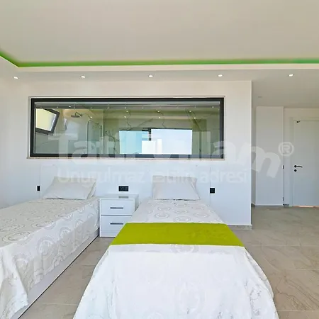 Lion Villa *