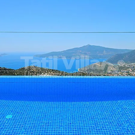 Lion Kalkan