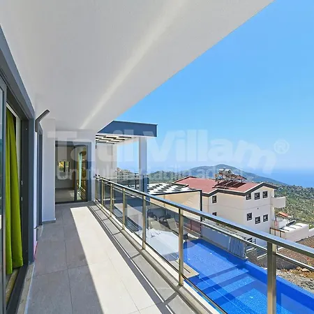 Lion Kalkan