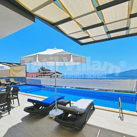 Villa Lion