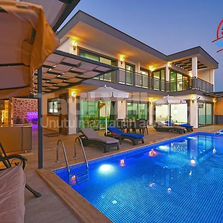 Lion Villa *