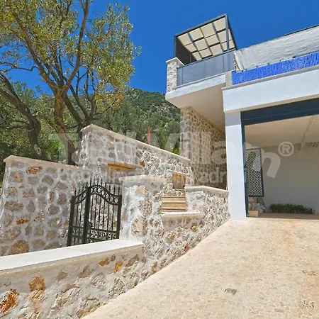 Villa Lion *