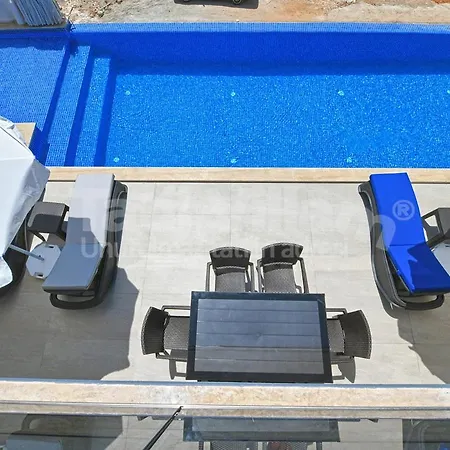 Lion Villa