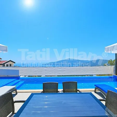 Villa Lion *