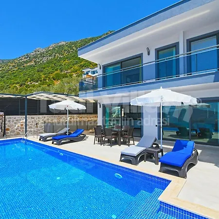 Lion * Kalkan