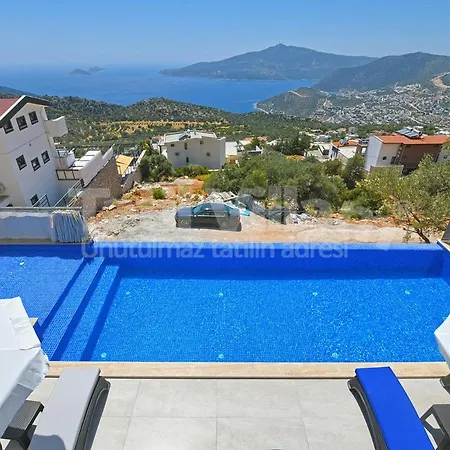 Villa Lion
