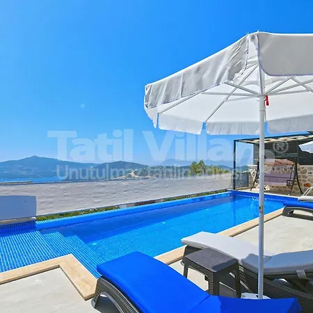 Villa Lion